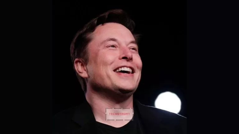 Elon Musk was the Highest Paid CEO